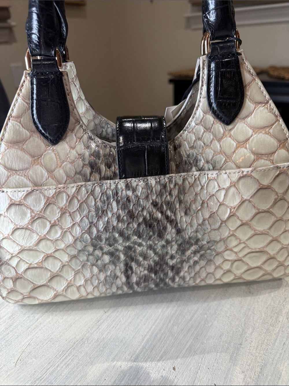Brahmin Adrian Black Rockway Ivory and Black Embossed Python-Print Satchel - Picture 10 of 14